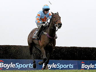 'Horse Of A Lifetime' Un De Sc...